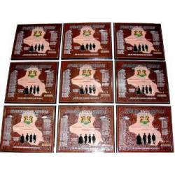 Marine Light Attack Helicopter Squadron 369 USMC Deployment Plaque