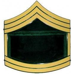 Shadow Box US Army E7 Painted Finish