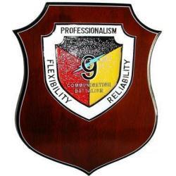 US Marine Corps 9th Communication Battalion