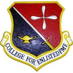 college for enlisted professional military education pme crest plaque