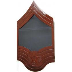 shadow box us air force e9 natural finish