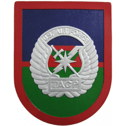 us air force tacp plaque