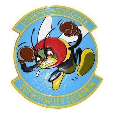 307th Fighter Squadron Patch