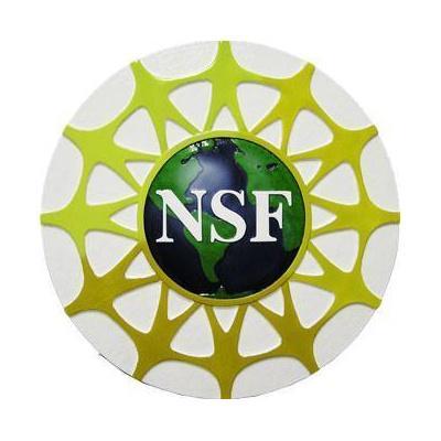 National Science Foundation