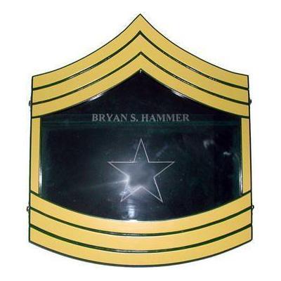 Shadow Box US Army E8 Painted Finish