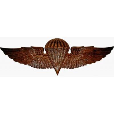 naval parachutist insignia wing plaque